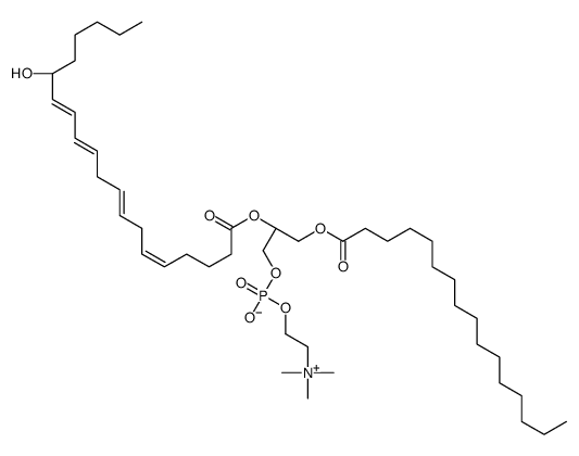 1-palmitoyl-2-(15-hydroxy-5,8,11,13-eicosatetraenoyl)-glycero-3-phosphocholine picture