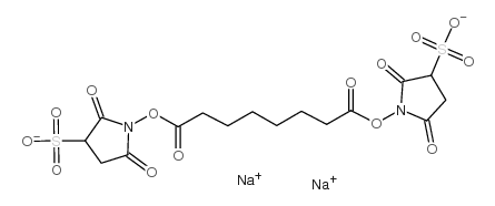 BS3 Crosslinker disodium picture