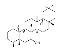 putranjivol Structure