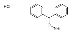 O-BENZHYDRYLHYDROXYLAMINE HYDROCHLORIDE picture