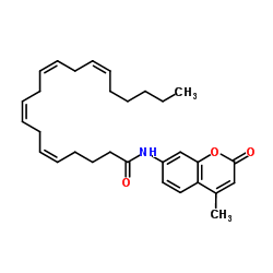 AMC花生四烯酰胺图片