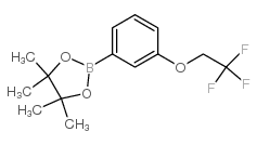 4,4,5,5-四甲基-2-[3-(2,2,2-三氟-乙氧基)-苯基]-[1,3,2]二噁硼烷结构式