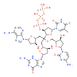 deoxy-(adenylyl-guanylyl-cytidylyl-thymidine) structure