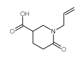 6-oxo-1-prop-2-enylpiperidine-3-carboxylic acid picture