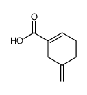 5-methylidenecyclohexene-1-carboxylic acid Structure