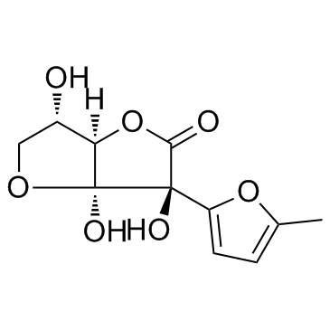 Nafocare B1 structure