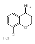 8-氯-苯并二氢吡喃-4-胺盐酸盐图片