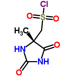 [(4S)-4-Methyl-2,5-dioxo-4-imidazolidinyl]methanesulfonyl chloride Structure