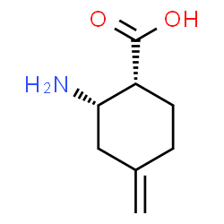 Cyclohexanecarboxylic acid, 2-amino-4-methylene-, (1R,2S)-rel- (9CI)结构式