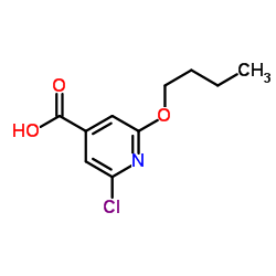 2-Butoxy-6-chloroisonicotinic acid Structure