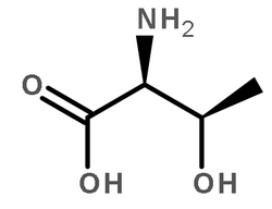 Protein serine/threonine kinase Structure