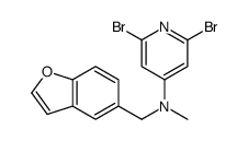 N-(1-benzofuran-5-ylmethyl)-2,6-dibromo-N-methylpyridin-4-amine Structure