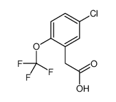 [5-Chloro-2-(trifluoromethoxy)phenyl]acetic acid图片