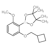 2-环丁基甲氧基-6-甲氧基苯基硼酸频哪醇酯结构式