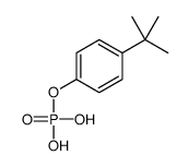 p-tert-butylphenyl dihydrogen phosphate Structure