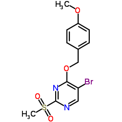 1343461-06-2结构式