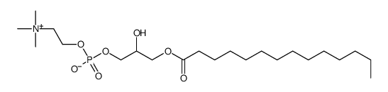 13699-45-1 structure