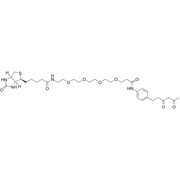 Diketone-PEG4-Biotin图片