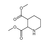 dimethyl piperidine-2,3-dicarboxylate picture