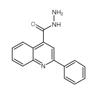 2-苯基喹啉-4-羧酸肼图片