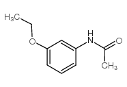 Acetamide,N-(3-ethoxyphenyl)- picture