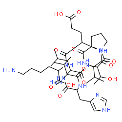 VAL-HIS-LEU-THR-PRO-VAL-GLU-LYS structure