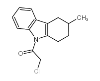 2-chloro-1-(3-methyl-1,2,3,4-tetrahydro-carbazol-9-yl)-ethanone picture