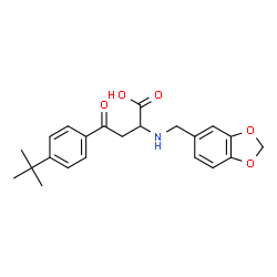 2-[(1,3-BENZODIOXOL-5-YLMETHYL)AMINO]-4-[4-(TERT-BUTYL)PHENYL]-4-OXOBUTANOIC ACID picture