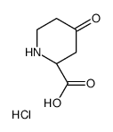 (S)-4-oxopiperidine-2-carboxylic acid hydrochloride图片