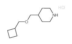 4-((CYCLOBUTYLMETHOXY)METHYL)PIPERIDINE HYDROCHLORIDE picture