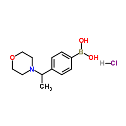 {4-[1-(4-Morpholinyl)ethyl]phenyl}boronic acid hydrochloride (1:1)结构式