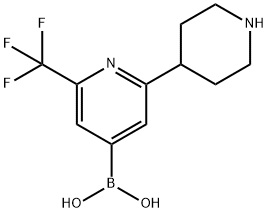 2-Trifluoromethyl-6-(piperidin-4-yl)pyridine-4-boronic acid structure