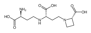 烟碱胺图片