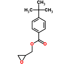 4-叔丁基苯甲酸缩水甘油酯图片
