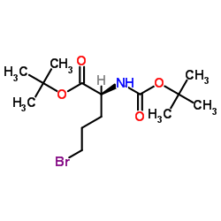 5-Bromo-N-[(tert-butoxy)carbonyl]-L-norvaline tert-butyl ester picture