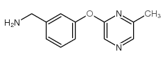 3-[(6-Methylpyrazin-2-yl)oxy]benzylamine structure