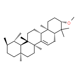 3β-Methoxybauer-7-ene Structure