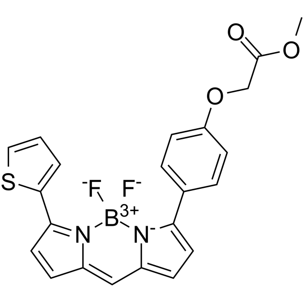 BODIPY TR methyl ester结构式