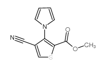 4-氰基-3-(1H-吡咯-1-基)噻吩-2-羧酸甲酯图片