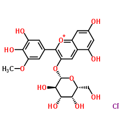 28500-02-9结构式