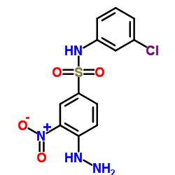 N-(3-CHLORO-PHENYL)-4-HYDRAZINO-3-NITRO-BENZENESULFONAMIDE picture