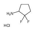 2,2-二氟环戊烷胺盐酸盐图片