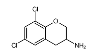 2H-1-Benzopyran-3-amine, 6,8-dichloro-3,4-dihydro结构式