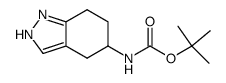 (4,5,6,7-Tetrahydro-1H-indazol-5-yl)-carbamic acid tert-butyl ester Structure