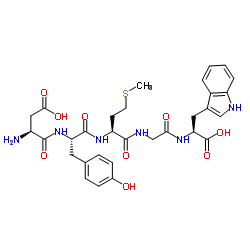 Cholecystokinin Octapeptide (1-5) (desulfated)结构式