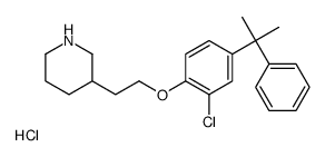 3-[2-[2-chloro-4-(2-phenylpropan-2-yl)phenoxy]ethyl]piperidine,hydrochloride结构式