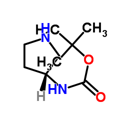 122536-77-0 structure