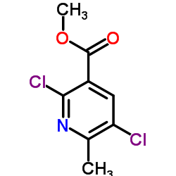 Methyl 2,5-dichloro-6-methylnicotinate picture