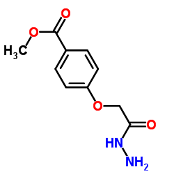 METHYL 4-((AMINOCARBAMOYL)METHOXY)BENZOATE结构式