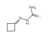 (cyclobutylideneamino)thiourea picture